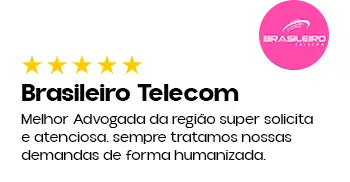 BRASILEIROTELECOM